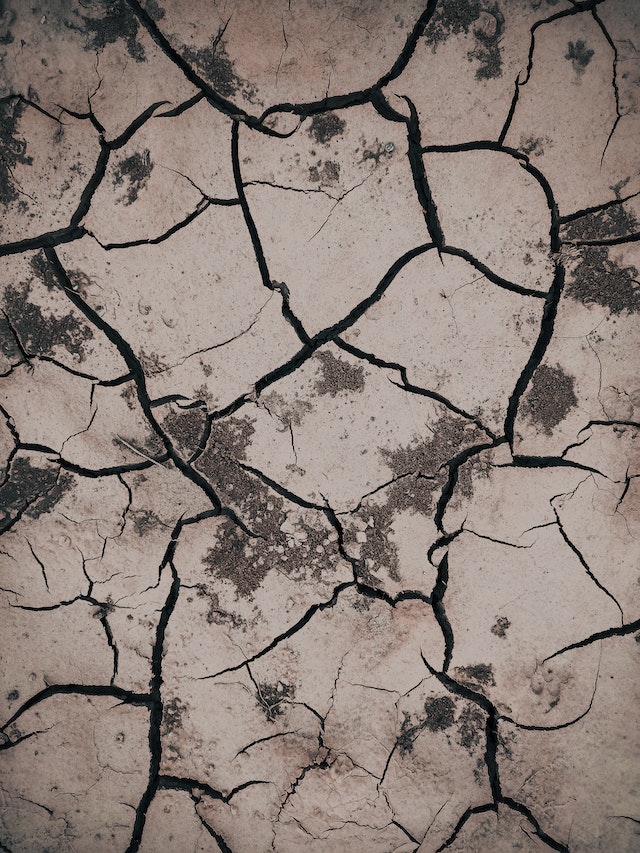 cracked ground photo by Sneaky Head